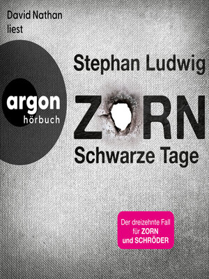 cover image of Schwarze Tage--Zorn, Band 13 (Ungekürzte Lesung)